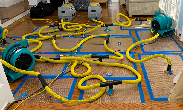 Professional Crawl Space Water Removal technician working in Hardy, IA